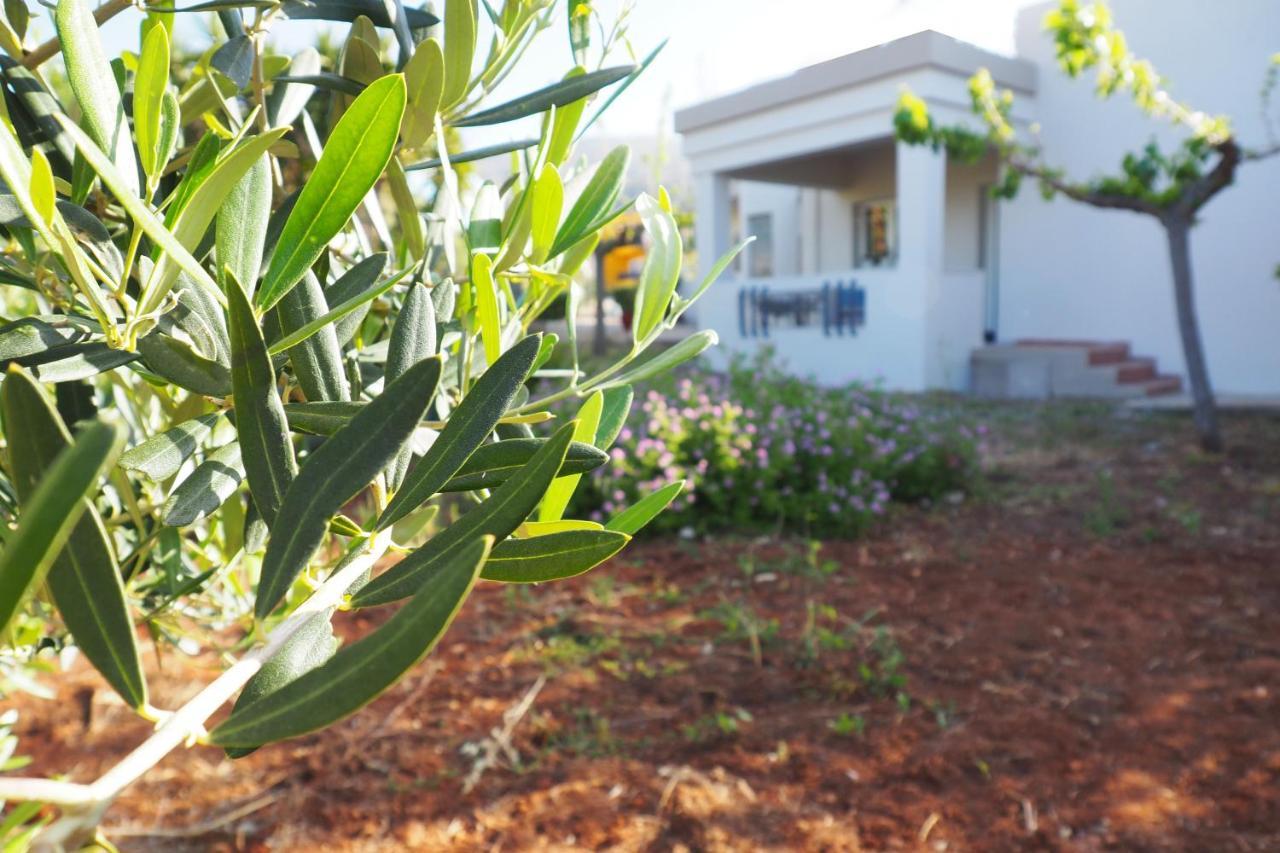 Villa Olive House Malia Exterior foto